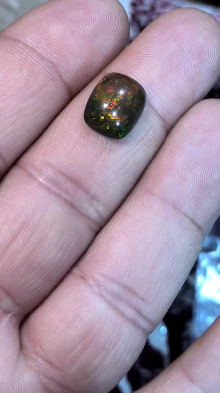 اوبال اثيوبي فووووووول فاير عالي حجم حلو
مكاني بصره 
#خاص


**إذا كنت صاحب هذا الإعلان وتريد حذفه لأي سبب، رجاءا أرسل رسالة إلى الدعم الفني**