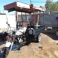 ستوته • مديل ٢٠١٤ • البصرة أبو الخصيب