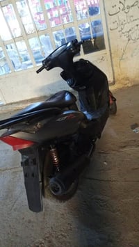 ماكس ثعلب • سلف • بغداد تاجي