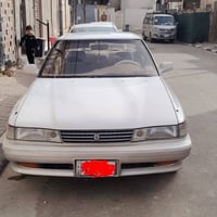 موديل ٩١ • رقم نجف • بدون صبغ