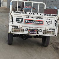 ستوتة • موديل 2021 • شطرة