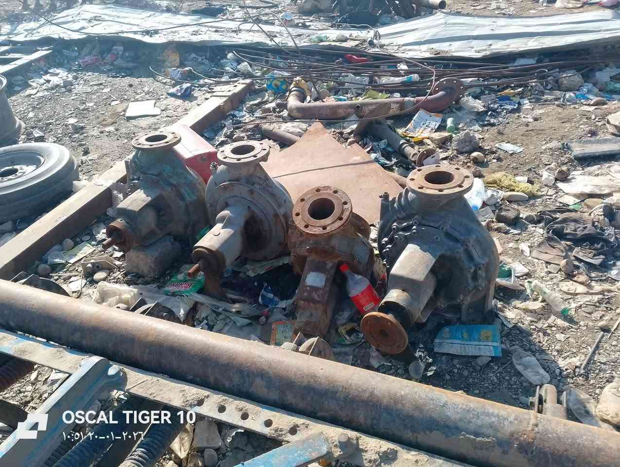 السلام عليكم خنزيرات للبيع كلشي مابيه المكان جنوب الموصل حمام عليل ***********==***********
