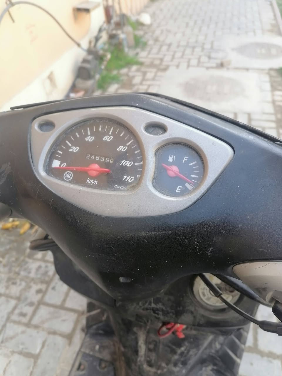 السلام عليكم سكنس نثيه للبيع عاطله للبيع مكاني بغداد شقق الحبيبيه مقابل شارع الصيانه رقمي ***********  السعر 200 الف بيها مجال حق الجيه
