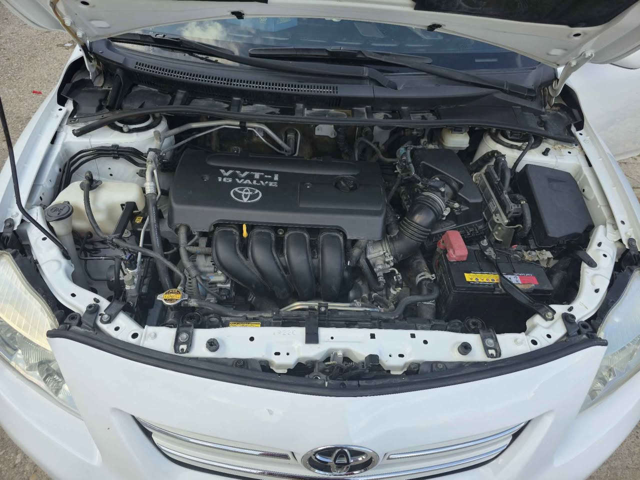 ‎كورلا ٢٠٠٩ خليجي مكفوله 
اكشانه جلد فول ماشيه ٩٧ الف حقيقي
اتصال ***********‎ الرمادي, الأنبار
