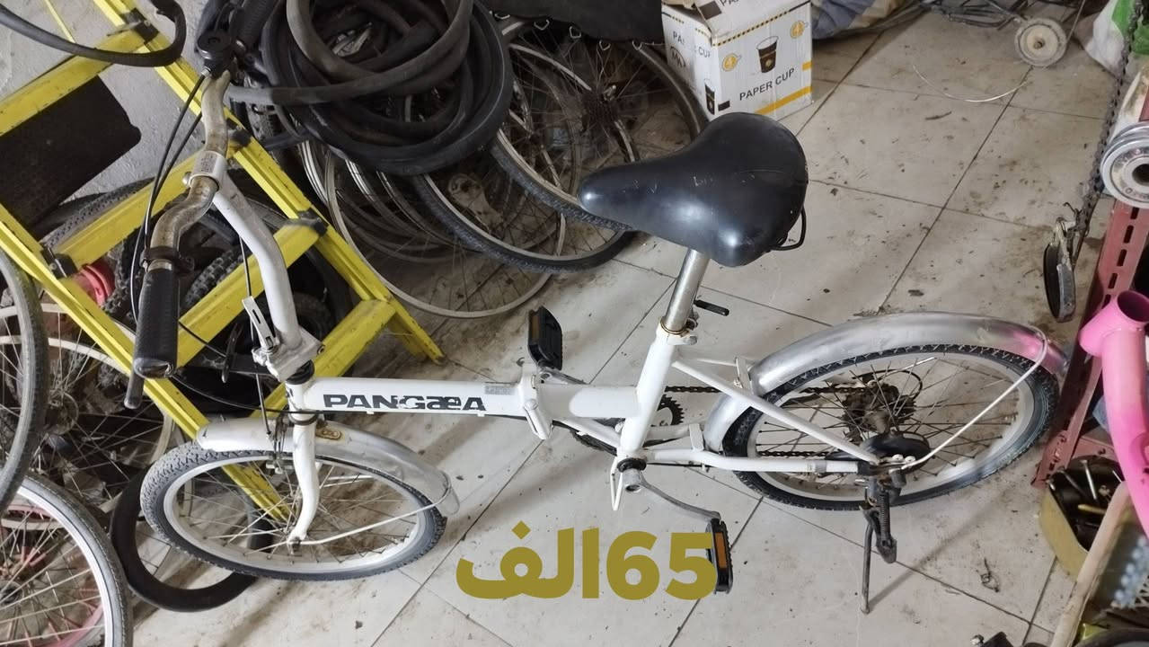 سلام عليكم بسكلات للبيع كلمن وسعره مكتوب عليها مكاني بغداد حسينيه الراشديه


**إذا كنت صاحب هذا الإعلان وتريد حذفه لأي سبب، رجاءا أرسل رسالة إلى الدعم الفني**