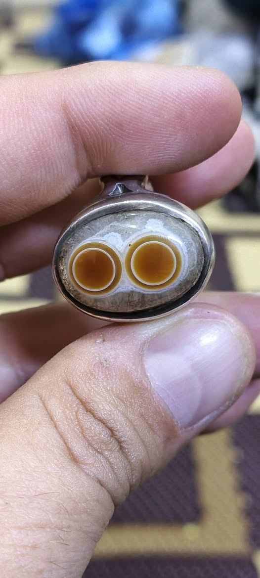 سليماني هندي طبيعي اصلي البيع
تصال على الرقم ***********
