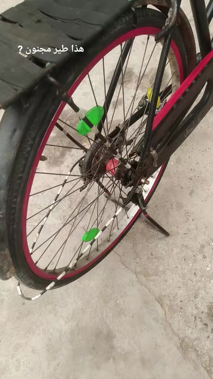 بيسكل للبيع الون اسود موديل 20019عوزه بس سنجيل وأغراضه مو جوده


**إذا كنت صاحب هذا الإعلان وتريد حذفه لأي سبب، رجاءا أرسل رسالة إلى الدعم الفني**