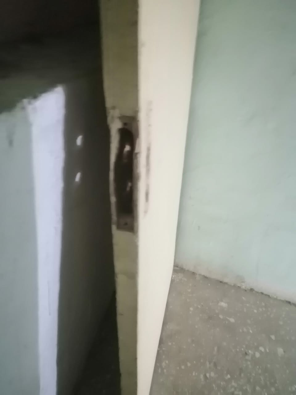 باب خشب شغل قديم ثقيل جدا سعر 50 الف


**إذا كنت صاحب هذا الإعلان وتريد حذفه لأي سبب، رجاءا أرسل رسالة إلى الدعم الفني**