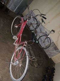 دراجة • تحتاج تعديل • جبلي وحدباء