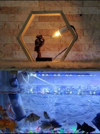 يتوفر تيبلام خشب باسعار مناسبة ويوجد توصيل الاتصال 07740591627