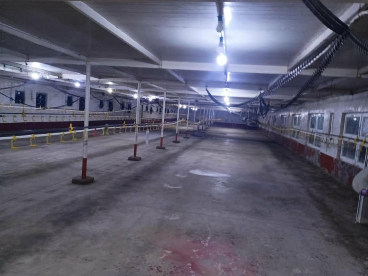 #حقل دواجن للبيع متكامل بدون نقص أو مراوس  🐔🐔🐔🐔
#حلمك يتحقق  معنى  👇👇🐓🐓🐓🐓🐥🐥🐥🐥🐥🐥مشروع حقل دواجن متكامل للبيع مساحة أرض 6 دونم فيها #قاعتين لتربية دجاج اللحم بطاقة عشرين ألف دجاجة المشروع #مسيج بسياج مادة البي ار سي فيه مولدات كهربائية  عدد 2 وابيار ارتوازية اربعه انج جاهز  مع إدارة 🏛️ و مخزن
لمن يود ان يعيش التجربة والربح الاتصال بنا على الهواتف التالية #علما بأن موقع المشروع في ليلان قرب اعدادية الزراعة

 ***********📞واتساب

للمزيد من المعلومات نرجو منكم زيارة مكتبنا🏦 

العنوان،،مكتبنا كركوك شورجة،،مقابل حفتة بازار 
ملاحضة#عربي
يمكنكم إرسال الاراضي والأملاك للأعلان عنه في صفحتنا بدون مقابل 

عنوان كامل للمُلك 📌
كم صورة من المُلك🏡
