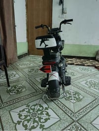 دراجه شحن • حجم ١٤