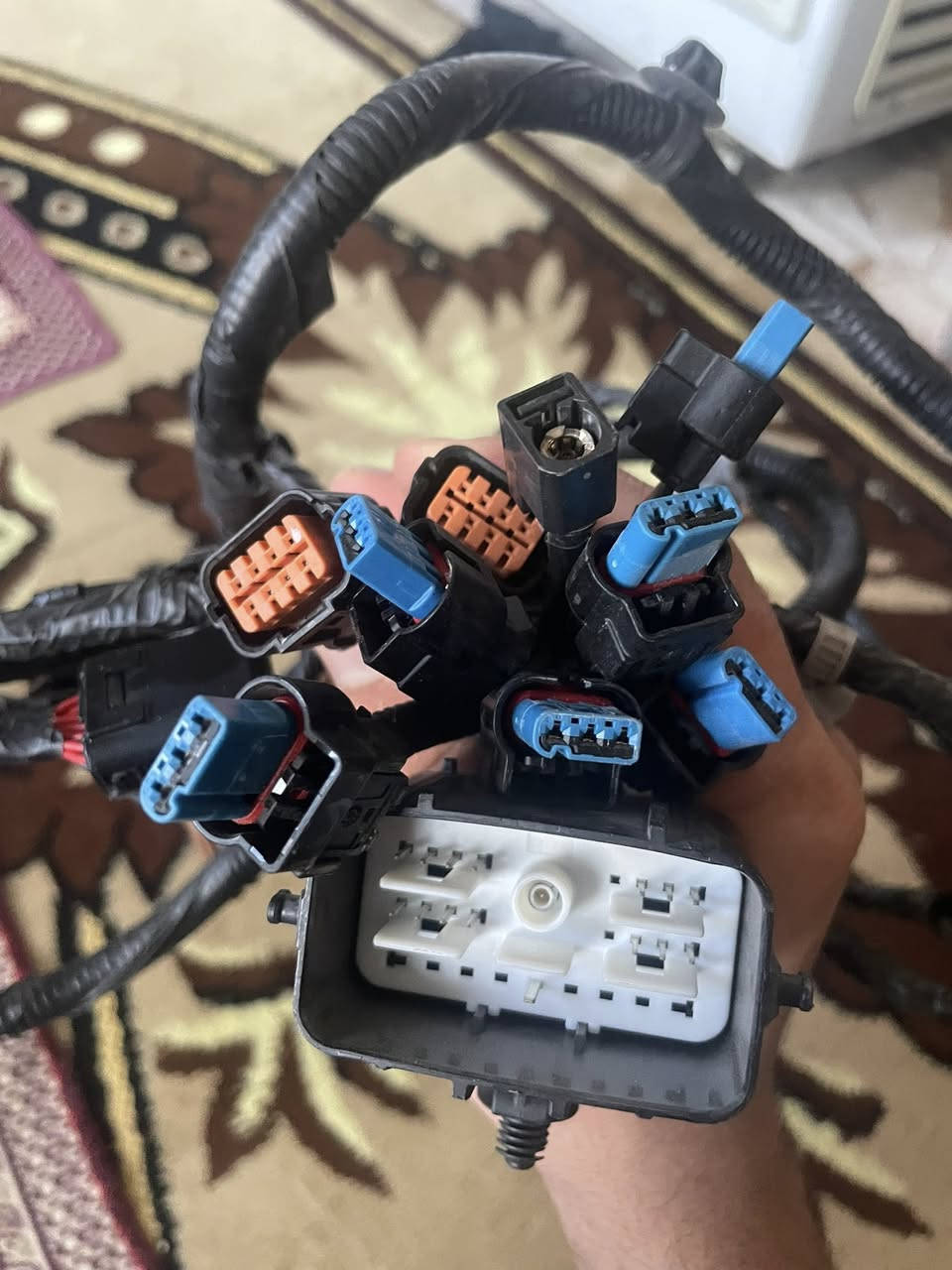 السلام عليكم ضفيره سوناته 2024 2025 2026 نضام 6 حساسات و كامره ومستشعرات ثنين جديده اصليه ما مشدوع ع سياره هذني الفيش الزرك ملات الحساس والبرتقاليه ملات المستشعر والسوده مال كامره والجبيره فيشه رئيسه  يوجد مستشعر جته السايق مستشعر واحد فقط اي ستفسار ***********
