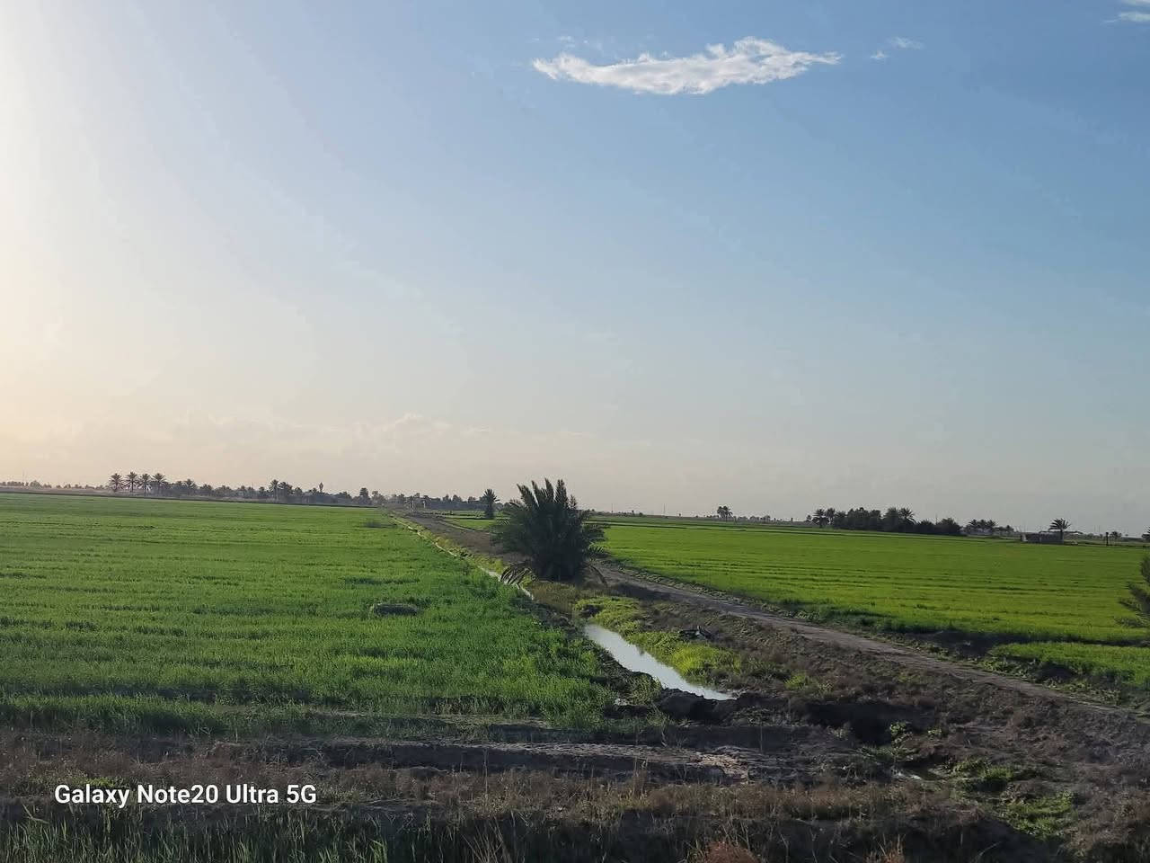 السلام عليكم ✅
متوفر دونمين وسعرهن16 يعني سعر الدونمين
ثنينهن 15 مليون قفل طابو زراعي سند 25 فتح
بيان بأسم المشتري على شارع 10 مترات وواجهية
الدونم الواحد 45×55 واليات تبليط داتبلط يبعدن
عن الارض اقل الكيلو العنوان تاجي سبع البور منطقة 
الشيخ عامر بلعيساويه عبور الجسر الثاني تبعد المنطقة
 عن مدينة سبع البور 15 دقيقه وعن السوك 12 دقيقه 
للاستفسار متوفر واتساب بلرقم ***********
