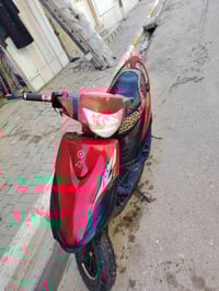 منغولي عدله للبيع 07800088400