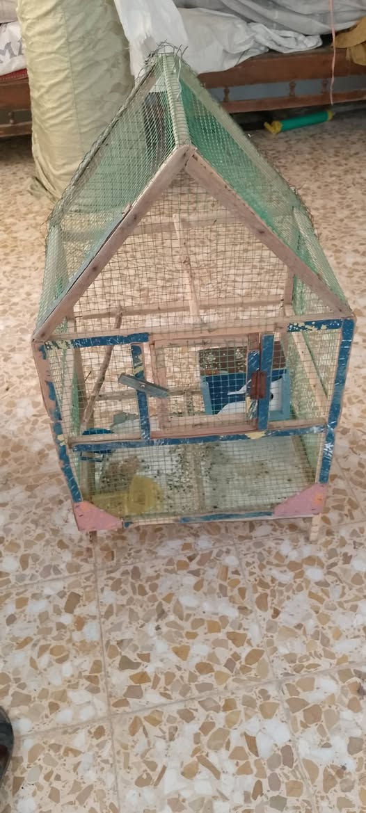 السلام عليكم قفص للبيع السعر كامل 5 تالف المكان موصل الايسر قرب سوق الجمعه


**إذا كنت صاحب هذا الإعلان وتريد حذفه لأي سبب، رجاءا أرسل رسالة إلى الدعم الفني**