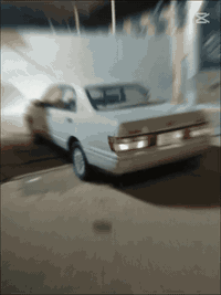 كراون بطّة • لوحات مكفولة • ميسان