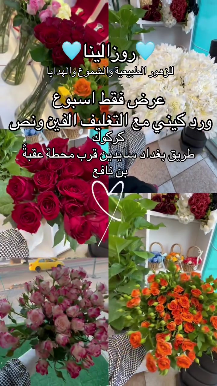 مشروعي الجديد 
ممكن متابعة ودعم 
🩵روزالينا🩵
للزهور والشموع والهدايا 
عنوان سايدين معوقين قرب معمل اسفنج 
حسابي على انستا ⬇️

https://www.instagram.com/rozalina_2026?igsh=NG9sejQ3bmx4bXdo&utm_source=qr


**إذا كنت صاحب هذا الإعلان وتريد حذفه لأي سبب، رجاءا أرسل رسالة إلى الدعم الفني**