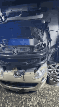 محلات سجاد • فيتر • توصيل محافظات