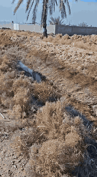 بسم الله الرحمن الرحيم 
دونم سند 25 كاع بيت عابد وجه على التبليط ( تبليط بيت عابد)
واجهة  17.5
#علي الغراني للعقار
وسام فيصل 
***********
***********
علي ثائر
‭0780 718 7123‬
‭0771 201 0975‬
شارع السايدين الجديد 
مقابل ملعب جمال زليزل
