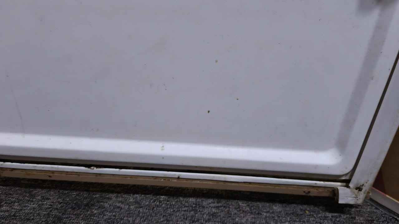 ‎ثلاجة شرط الشغل والتجميد للبيع بيها بس الاستيكة يرادلها تبديل المكان كربلاء السوادة‎ كربلاء, العراق


**إذا كنت صاحب هذا الإعلان وتريد حذفه لأي سبب، رجاءا أرسل رسالة إلى الدعم الفني**