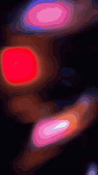 دراجه ماكس عدله دراجه شلعه ومعدل حلو ماكينه بلاديه 49 كفراتها كلها ويا...