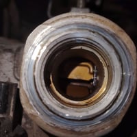 مكاين • كير • سافران فلونس