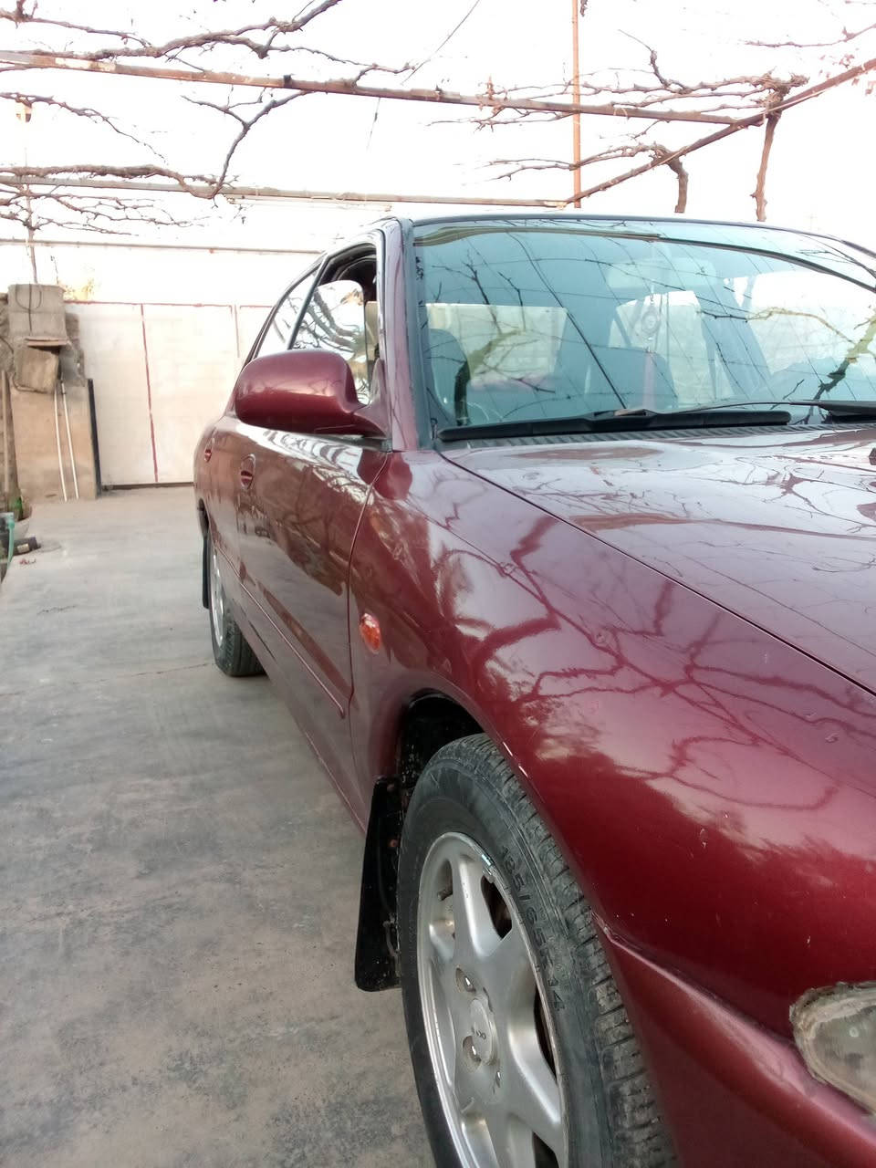 سلام عليكم للبيع بروتون 2004
رقم بغداد دولي سنويه وهزه ورقم كله جديد شرط التحويل والغرامات كير/محرك/صدر/تايرات/كهربائيات/كلهن شرط
سياره حلوه وجاهزه ومال جناي تدفئه شرط نار🔥 تبريد ثلج ❄️مكان السياره بغداد ***********السعر 50وبيها مجال للشراي
