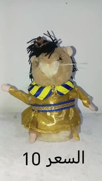 أرنب • سنجاب • كتكوت