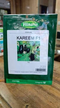 متوفر بذور الباذنجان كَريم Kareem F1 من شركة Vilmorin الفرنسية، ✅ أولا...