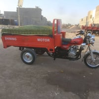 ستوته • من الوكيل • ابو الخصيب