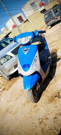 ماكس منغولي • نضيفه • بابل