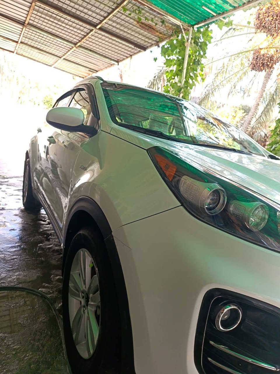 السلام عليكم
كيا سبورتج موديل ٢٠١٨ وارد كندي رقم بغداد دولي الجديد بيها بابين تبديل فقط ماشيه ٦٠ الف كيلو فور ويل مامفتوح بيها برغي .. عدا الأبواب.. مواصفاتها تحكم تدفئة بالكشنات محرك ٢٤٠٠ جي دي اي.. سياره نظيفه جدا واستخدام شخصي .

هزة جديدة

سنويه جديده

بأسمي شخصيا

السعر ١٥٥ ..

االعنوان بابل... حلة وردية خارج
مبايل ***********
