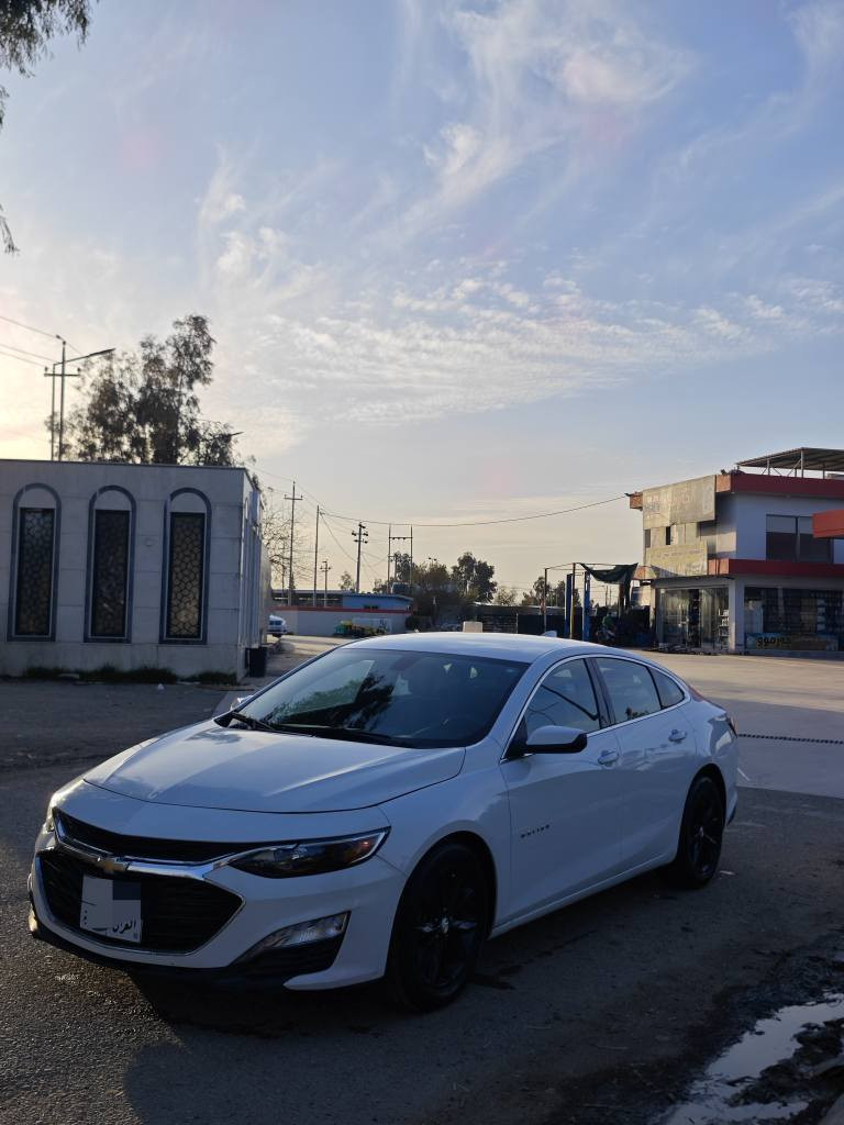 مالیبۆ مۆدێل 2019 رەنگی سپی
مواسفات lt ،شاشە و کامێراو کوشن کارباو کوشن هیتەر و تحدید سورعا ئۆتۆ ستارت..
مەکینەو گێری نەکراوەتەوە 110 میل رۆشتوە
بەس بۆنیت بۆیاخە بێ ناوگرتن و  ئێربا گ شانسی ،دو شوێن تعدیلی ساردی هەیە ،،
رەقەم شانسیم داناوە،کارتی بنزینی هەیە 
سەنەوی ساڵێکی ماوە بەسەرچێ هەمو شتی تازەیە سعری 113 $ مجالێ کەم
*********** السليمانية, العراق
