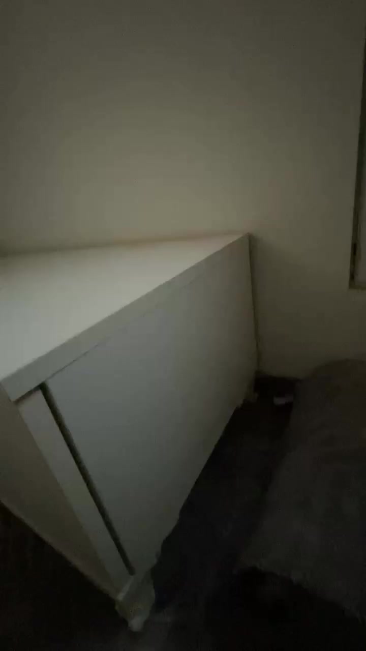 ئه‌م دوو چه‌كمه‌جه‌ بۆ فرۆشتن پاك . و بێ كێشه‌ نرخیان ٣٠ هه‌زار سلێمانی


**إذا كنت صاحب هذا الإعلان وتريد حذفه لأي سبب، رجاءا أرسل رسالة إلى الدعم الفني**