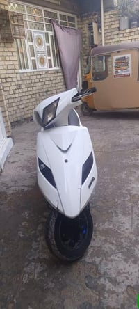 ثعلب للبيع سعر ٣٠٠. 07733134927