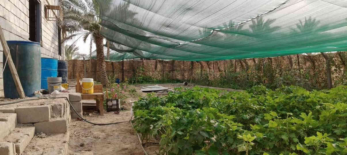 🟥 قطعة أرض للبيع – البصرة / أبي الخصيب 🟥
المساحة 530متر
الواجهة 25متر – النزال 20ونس
نوع العقار وقف سني أصولي

🌴 مزروعة نخيل برحي وبريم وأم دهن وأنواع مختلفة
🌲 سدار ونباتات زينة 🌺🌻🌷🌾🥀

🧱 مسيجة بلوك محكمة + باب سلايت
🛣️ شارع 7متر

📍 العنوان: أبي الخصيب / جيكور / شارع الميناء
✅ جميع الخدمات متوفرة (ماء، كهرباء، مدارس، جوامع)
قريب من ذهب أبو الخصيب القديمة

💰 السعر 38مليون وبيه مجال
📞 للاستفسار اتصال أو واتساب
***********
