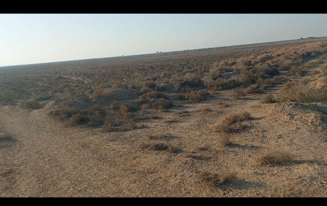 السلام عليكم ورحمة الله وبركاته اخوتي الأعزاء الاكارم 
اعلان(١٠٥) الصلاة على محمد وآل محمد. هي طاهرة للقلب
* ٢٥.دونم .ونصف . زراعي سند ٢٥ .طابو بعقوبة للبيع 
. تقع ع طريق خان بني سعد .محمد سكران .الطريق المؤدي إلى خان بني سعد .بعقوبة . تبعد عن الشارع العام التبليط ١ كيلو . فيها ٣ طرق للدخول عليها . ماء زرع فقط . مراشنة
سعر الدونم (١٠) مليون للدونم الواحد. وفيها مجال للتفاوض. من يرغب في الشراء يتصل بي او عبر المراسلة .وتساب (***********) او عبر الصفحة ماسنجر 
اخوكم ابو مهدي العامري.  المراجعة في مكتب العامري للوساطة العقارية.  الواقع في نفس الشارع . بعد المقبرة ٢ كيلو.  ولكم مني كل التقدير والاحترام. 
 من يرغب ابعث له الموقع الخاص في المكتب
