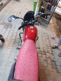 بوكسر • جبلي • بصره