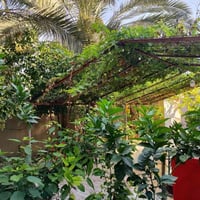 وبركاته....بيت للبيع طابو صرف باسمي المساحة 500مترفي خان بني سعد حي ال...