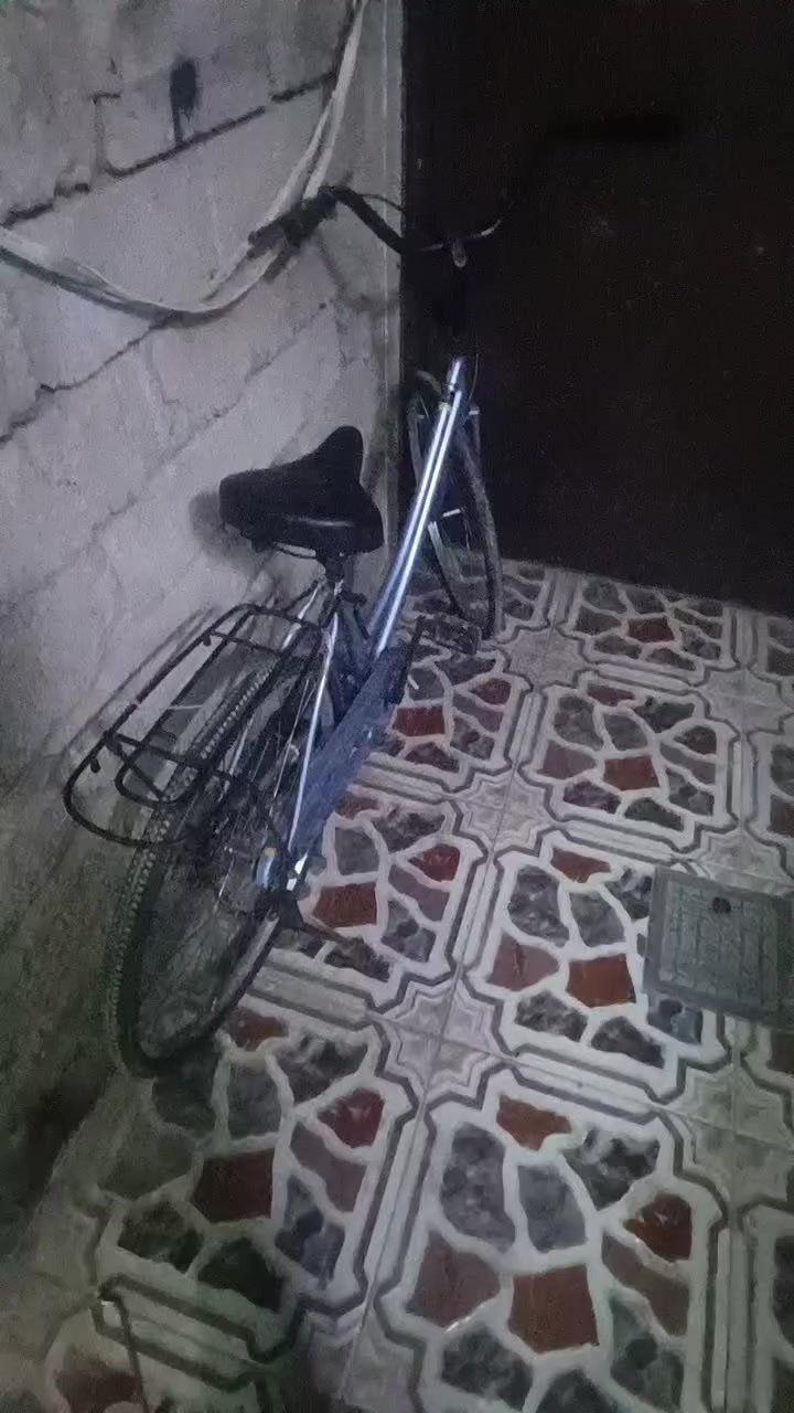 باسكل للبيع او مراوس السعر خاص موديل الباسكل20 اي شي بخصوص الباسكل خاص😅


**إذا كنت صاحب هذا الإعلان وتريد حذفه لأي سبب، رجاءا أرسل رسالة إلى الدعم الفني**