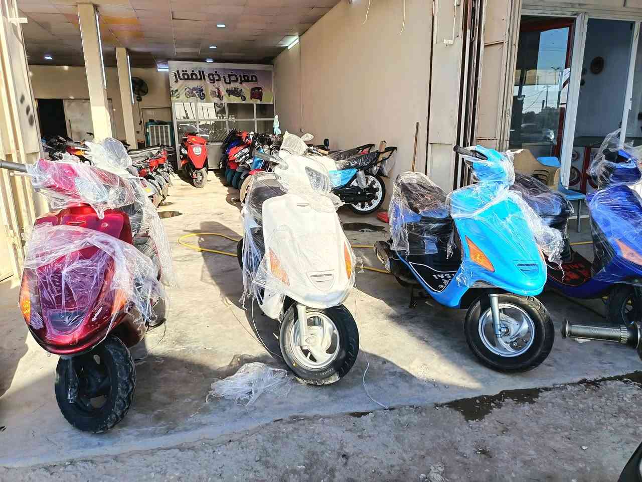 السلام عليكم
يعلن مجمع ذو الفقار لبيع الدراجات الناريه
عن توفر كميات من الدراجات الفراشه المكفوله مكينه وشاصي دراجات كلش حلوات وشرط النضافه وعل فحص

للاستفسار***********

#العنوان الديوانية قضاء الدغاره
