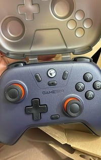 جوستك كيم سير • دنگل • حافظة