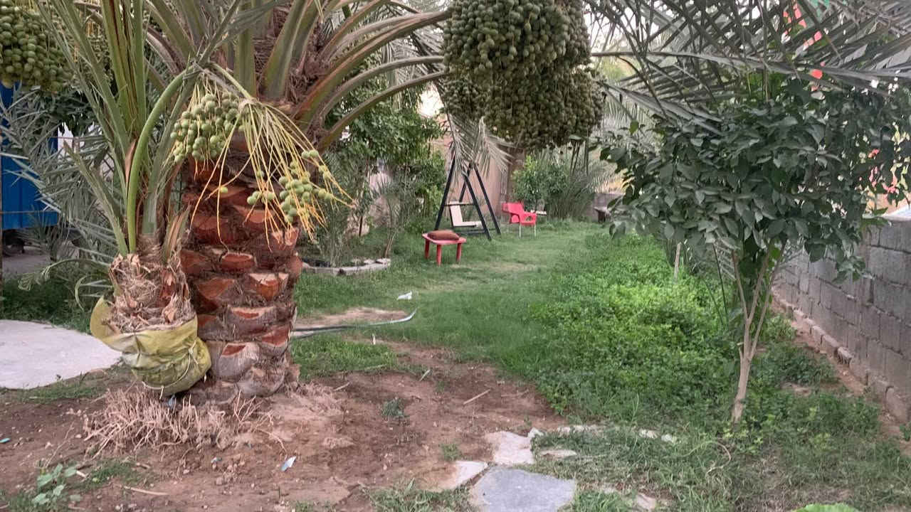 🏡 بيت للبيع أو المراوس في كربلاء - موقع مميز جداً وإطلالة رائعة 🏡
​📍 الموقع:
كربلاء المقدسة - بداية حي البناء الجاهز (مقابيل ملعب كربلاء القديم).
✨ المميزات الخارجية: البيت مطل مباشرة على ساحات فارغة وحدائق حكومية كبيرة، مما يوفر إطلالة شرحة وهواءً نقياً.
​📐 المساحة والتصميم:
​المساحة الإجمالية: 200 متر مربع.
​الواجهة الخارجية: تحتوي على طرمة لراج السيارة، وللبيت 3 أبواب للدخول.
​الحديقة: حديقة خارجية واسعة بداخلها (بير ماء).
​ملحق خارجي مميز: يحتوي البيت على مكتب خارجي بطول 7 أمتار، بالإضافة إلى ترك خارجي طويل جداً ومريح.
​🏗️ التفاصيل الداخلية (البيت طابقين ونص):
​الطابق الأرضي: مضيف كبير جداً + مطبخ كبير مع ترك خاص بالمطبخ + حولي (هول داخلي) + غرفتين نوم + حمام ومرافق.
​الطابق الثاني: غرفة نوم كبيرة جداً + حولي (هول) + حمام ومرافق.
​الطابق الثالث (السطح): سطح كامل مسقف بالـ (تشينكو).
​⚖️ السند القانوني:
​طابو صرف (ملك صرف).
​💰 السعر:
​320 مليون دينار عراقي (وبيه مجال للشراي التكاك).
​🔄 خيار المراوس:
​مستعد للمراوس ببيت زراعي كبير يحتوي على مزرعة أو ما شابه ذلك، ويفضل أن يكون في كربلاء أو قريب منها.
​📸 ملاحظة للمشترين:
​الصور المتوفرة حالياً هي للواجهة والخارج فقط، أما بالنسبة للتفاصيل والديكورات الداخلية، فالأفضل والأنسب تشرفونا بزيارة وتشوفون البيت على أرض الواقع (العين هي الميزان).
​📞 للاستفسار والتواصل:
***********
