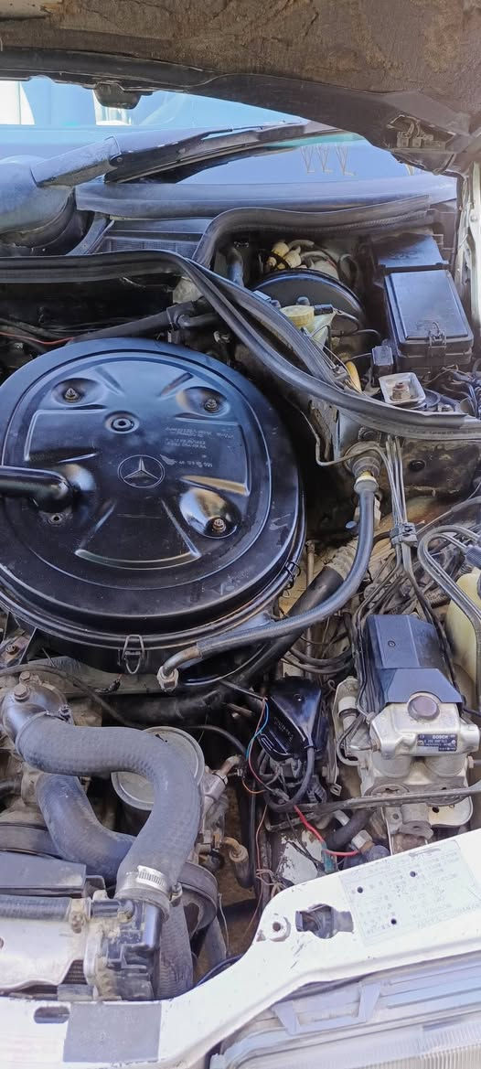 السلام عليكم اللبيع مارسدس دب ستيشن موديل ٩٢محرك وكير ابلادي عنكبوت كفاله  قواعد دبلات كفاله تبريد ثلج حداديه جديدة تخم تاير جديد رقم  ديالى نكليزي بسمي غرفه لون زيتوني جديده السعر 55 مكان السياره بغداد مدينة أي ستفسار تصال غير متواجد على الفيس ***********
