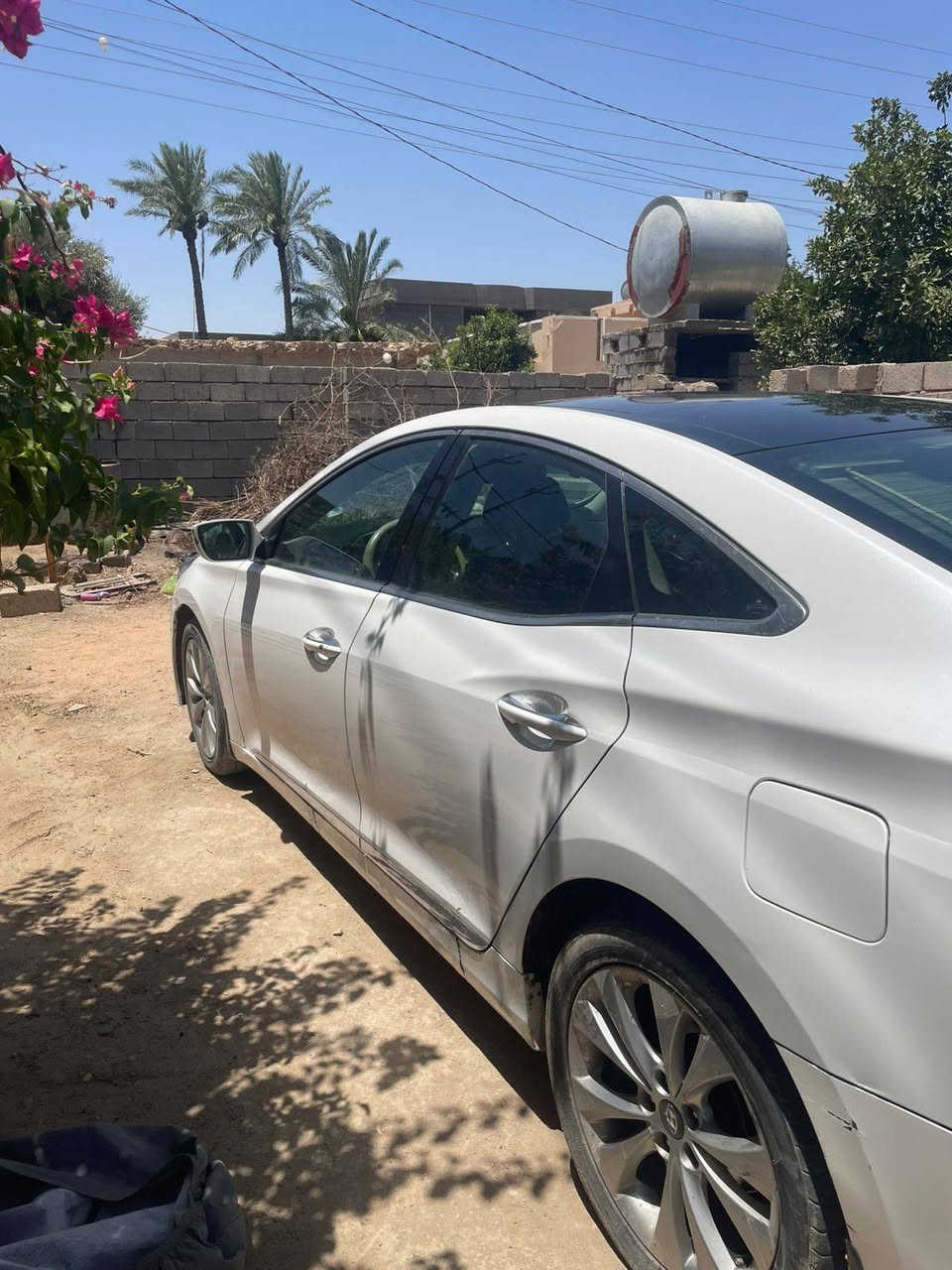 ازيره ١٢ خليجي فول
معروفه موصفات الفول شعندك


**إذا كنت صاحب هذا الإعلان وتريد حذفه لأي سبب، رجاءا أرسل رسالة إلى الدعم الفني**