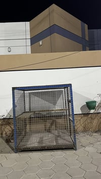 قفص • تزكام