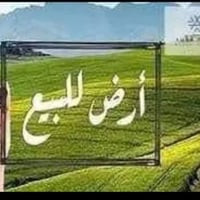 حي الفلاح الثانية • ٢٢٠م • سند طابو