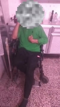 حالة إنسانية • عربة كهربائية • الكريمات