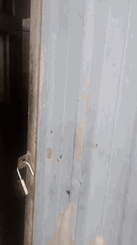 معمل غذائي • تنمبه • ٥٠٠م